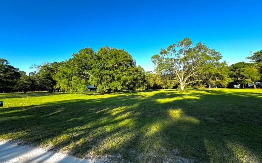 photo for a land for sale property for 09090-90657-Old Town-Florida