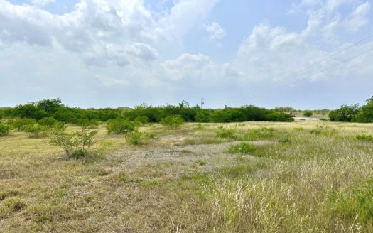 photo for a land for sale property for 42281-36632-Orange Grove-Texas
