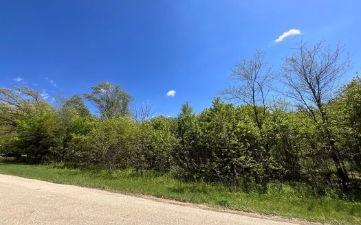 photo for a land for sale property for 48084-77095-Oxford-Wisconsin