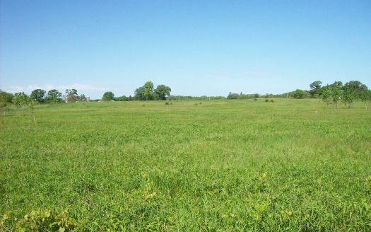 photo for a land for sale property for 48084-77927-Oxford-Wisconsin