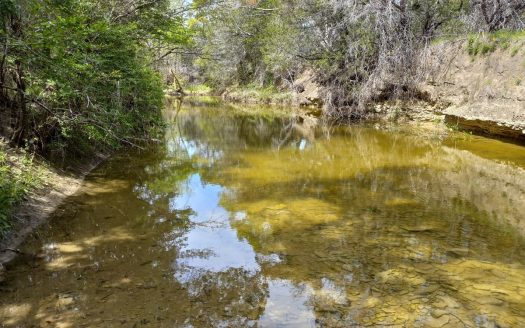 photo for a land for sale property for 42017-29733-Purmela-Texas