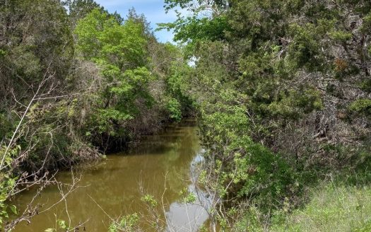 photo for a land for sale property for 42017-29737-Purmela-Texas
