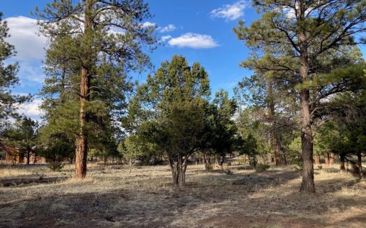 photo for a land for sale property for 05056-12632-Ridgway-Colorado