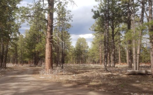 photo for a land for sale property for 05056-13266-Ridgway-Colorado