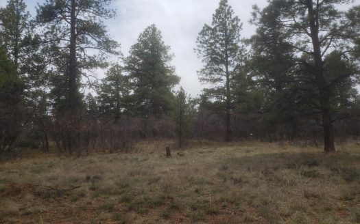photo for a land for sale property for 05056-13449-Ridgway-Colorado