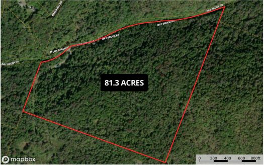 photo for a land for sale property for 31088-13402-Roscoe-New York