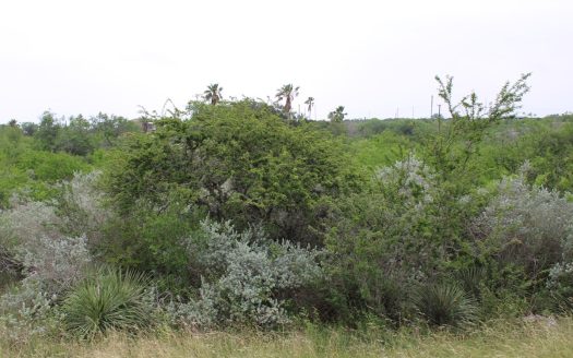 photo for a land for sale property for 42281-41102-Sandia-Texas