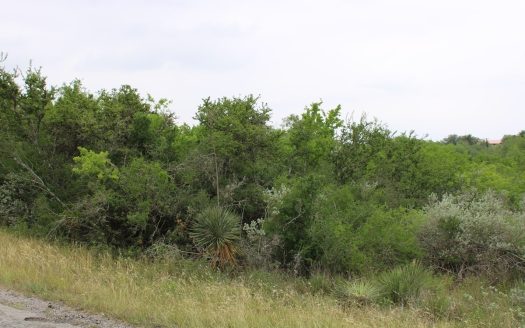 photo for a land for sale property for 42281-41103-Sandia-Texas