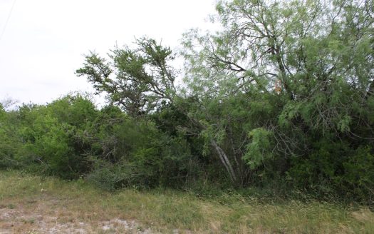 photo for a land for sale property for 42281-41111-Sandia-Texas