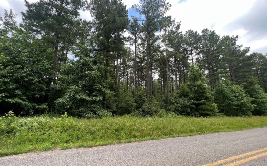 photo for a land for sale property for 03107-10169-Searcy-Arkansas