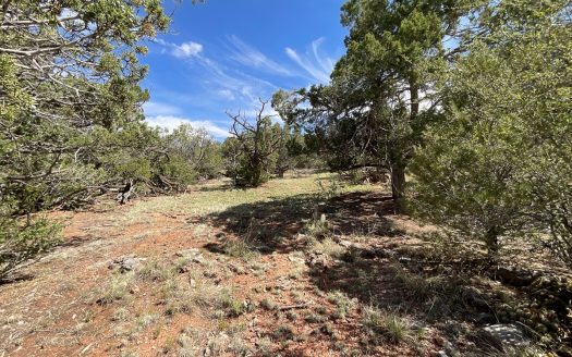 photo for a land for sale property for 02036-24077-Seligman-Arizona