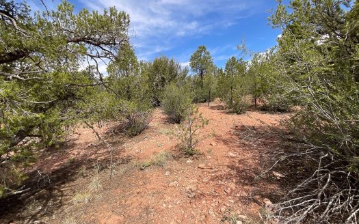 photo for a land for sale property for 02036-24078-Seligman-Arizona