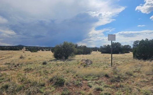 photo for a land for sale property for 02036-24080-Seligman-Arizona