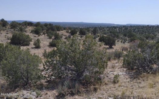 photo for a land for sale property for 02036-24082-Seligman-Arizona