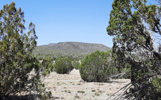photo for a land for sale property for 02036-24116-Seligman-Arizona