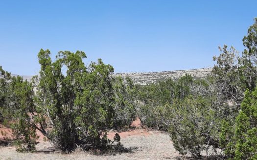 photo for a land for sale property for 02036-24117-Seligman-Arizona