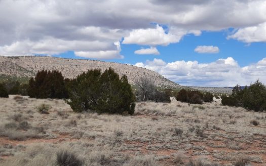 photo for a land for sale property for 02036-24118-Seligman-Arizona