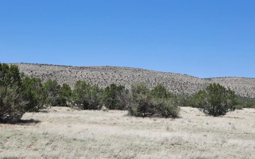 photo for a land for sale property for 02036-24119-Seligman-Arizona