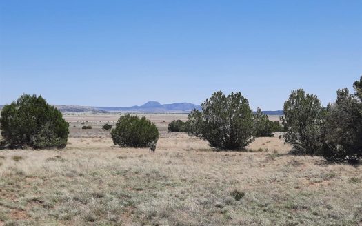 photo for a land for sale property for 02036-24120-Seligman-Arizona