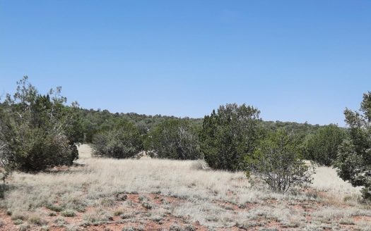 photo for a land for sale property for 02036-24121-Seligman-Arizona