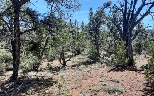 photo for a land for sale property for 02036-24122-Seligman-Arizona