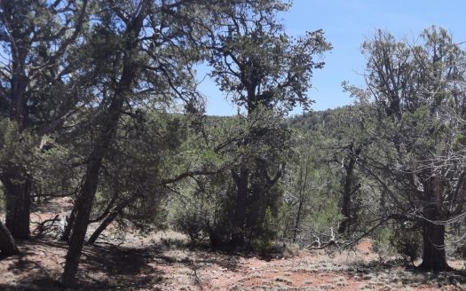 photo for a land for sale property for 02036-24123-Seligman-Arizona