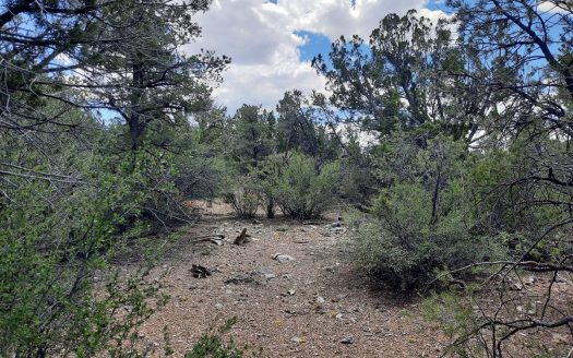 photo for a land for sale property for 02036-24127-Seligman-Arizona