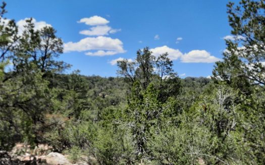 photo for a land for sale property for 02036-24128-Seligman-Arizona