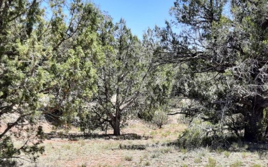 photo for a land for sale property for 02036-24129-Seligman-Arizona