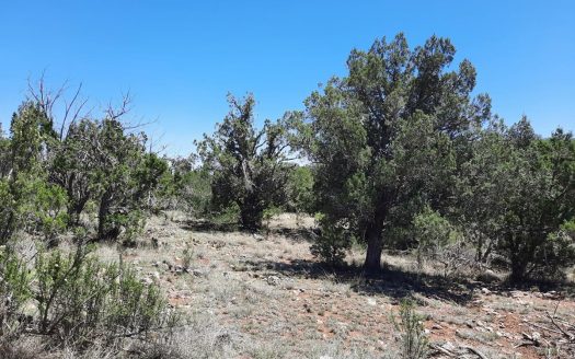 photo for a land for sale property for 02036-24130-Seligman-Arizona