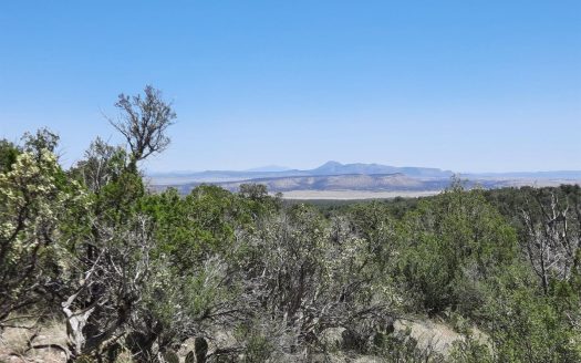 photo for a land for sale property for 02036-24131-Seligman-Arizona