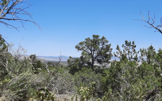 photo for a land for sale property for 02036-24132-Seligman-Arizona