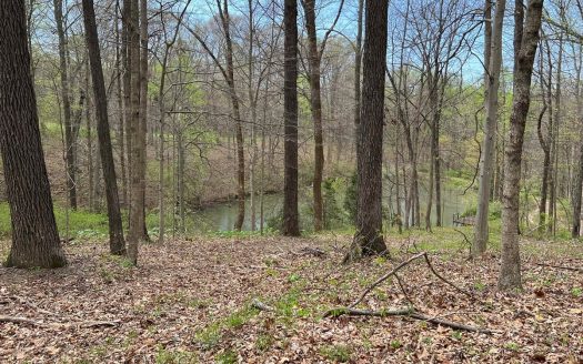 photo for a land for sale property for 13055-24111-Solsberry-Indiana