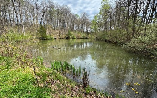 photo for a land for sale property for 13055-24112-Solsberry-Indiana