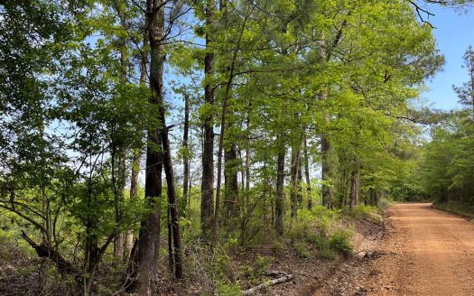 photo for a land for sale property for 03019-03891-Sparkman-Arkansas