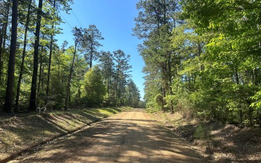 photo for a land for sale property for 03019-03942-Sparkman-Arkansas