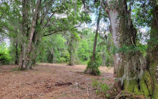 photo for a land for sale property for 09090-90652-Starke-Florida