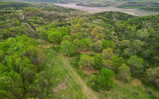 photo for a land for sale property for 24084-66440-Thornfield-Missouri