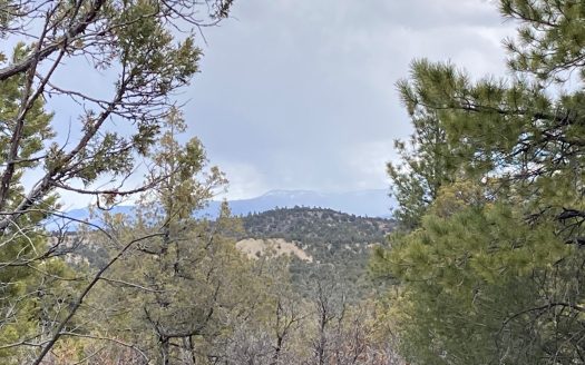 photo for a land for sale property for 30014-42580-Tierra Amarilla-New Mexico