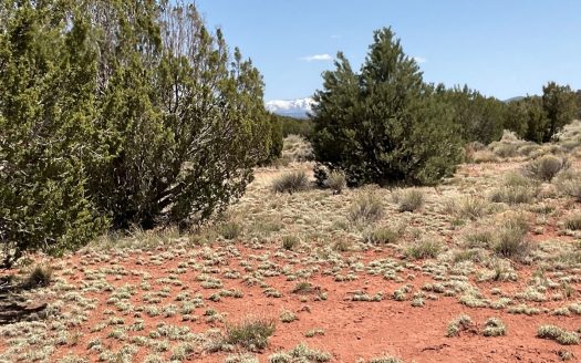 photo for a land for sale property for 02036-24075-Valle-Arizona