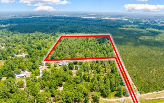 photo for a land for sale property for 09090-23273-Wellborn-Florida