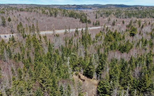 photo for a land for sale property for 18015-10416-Whiting-Maine