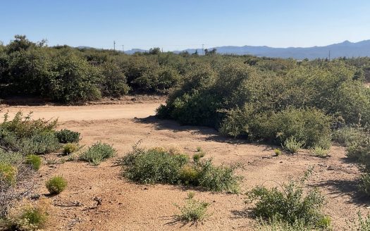 photo for a land for sale property for 02036-24072-Wilhoit-Arizona