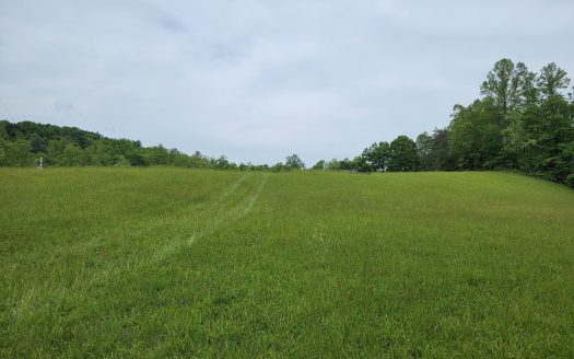 photo for a land for sale property for 45038-00941-Woolwine-Virginia