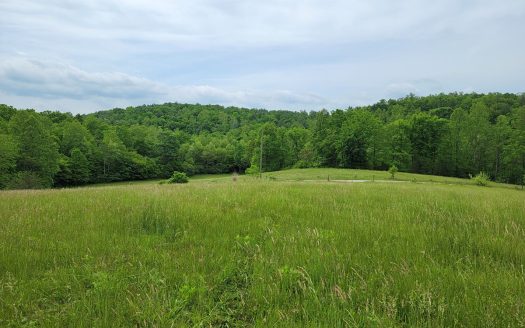photo for a land for sale property for 45038-00942-Woolwine-Virginia