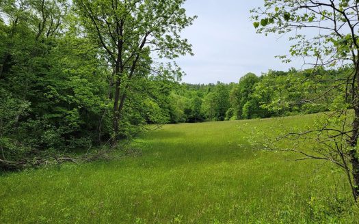 photo for a land for sale property for 45038-00945-Woolwine-Virginia