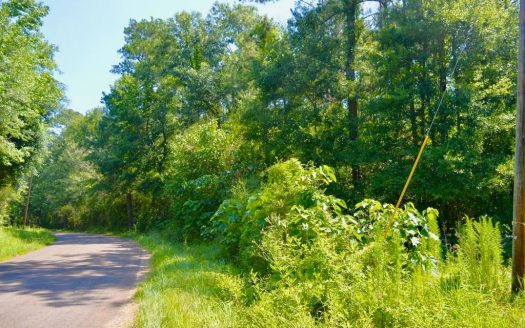 photo for a land for sale property for 23042-41567-Magnolia-Mississippi