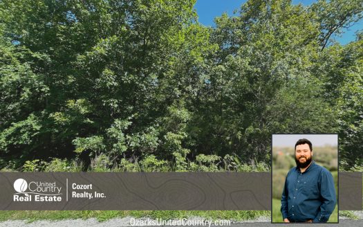 photo for a land for sale property for 24078-93750-Mammoth Spring-Arkansas