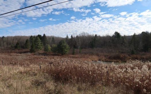 photo for a land for sale property for 31053-14611-Oxford-New York