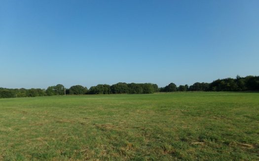photo for a land for sale property for 42233-13920-Paris-Texas